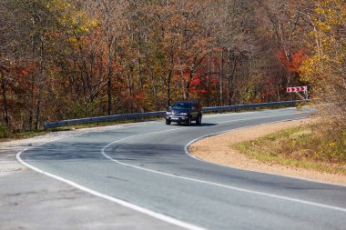 Yolun ortasında renkli bir sonbahar orman