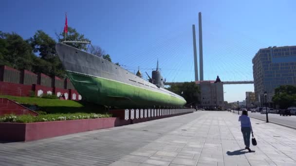 Memorial Vakter Röd Banner Ubåten Vladivostok — Stockvideo