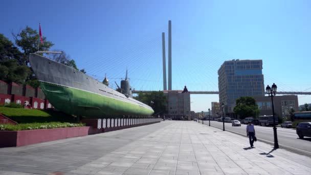 Memorial Vakter Röd Banner Ubåten Vladivostok — Stockvideo