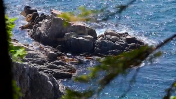 海に流れ出る 悩まされていた水から突き出た石に対して砕ける波 — ストック動画