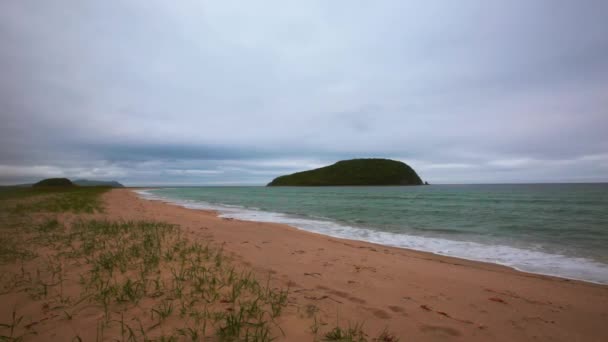 野生の砂浜近くの海の真ん中にある美しい島 ペトロフ島沿海州 Lazovsky Zapopovednik の伝説的なイチイ グローブ — ストック動画