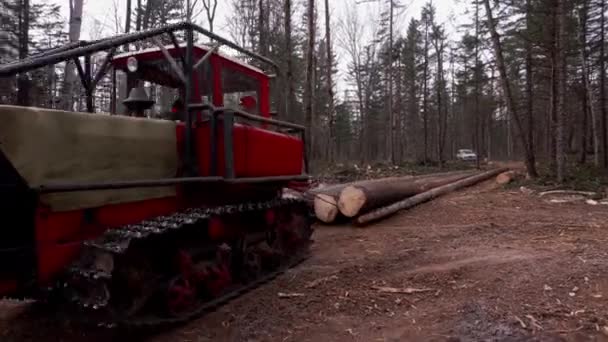 Bulldozer Drar Marken För Färsk Skuren Träd Gran Utan Grenar — Stockvideo