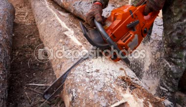 Ağır çekimde chainsaw ile ahşap ile kesme. Hakki iş elbiseleri ve koruyucu eldiven motorlu testere tutan adamın yakın çekim.