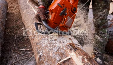 Ağır çekimde chainsaw ile ahşap ile kesme. Hakki iş elbiseleri ve koruyucu eldiven motorlu testere tutan adamın yakın çekim.