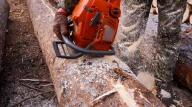 Ağır çekimde chainsaw ile ahşap ile kesme. Hakki iş elbiseleri ve koruyucu eldiven motorlu testere tutan adamın yakın çekim.