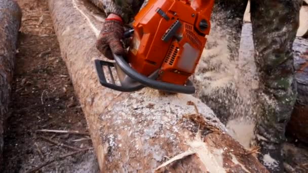 スローモーションでチェーンソーで木を切る 貘作業服 保護手袋電動チェーンソー男のクローズ アップ — ストック動画