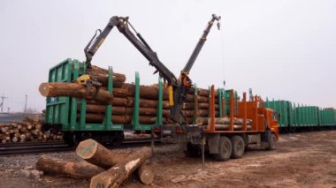 Kereste demiryolu otomobillerde Boyutlanmış yükleniyor. Kamyon vinç ağaç gövdeleri demiryolu otomobillerde yükler.