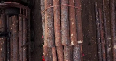 Hava atış. Bir günlük kamyon Tayga günlüğü sitedeki taze Boyutlanmış kereste yapraklarla dolu. Boyutlanmış ahşap ile uzun vagon vücuda yüklü