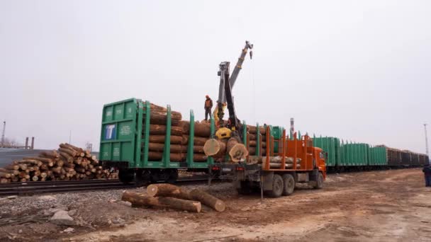 Kereste Demiryolu Otomobillerde Boyutlanmış Yükleniyor Kamyon Vinç Ağaç Gövdeleri Demiryolu — Stok video