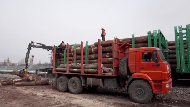 Kereste Demiryolu Otomobillerde Boyutlanmış Yükleniyor Kamyon Vinç Ağaç Gövdeleri Demiryolu — Stok video