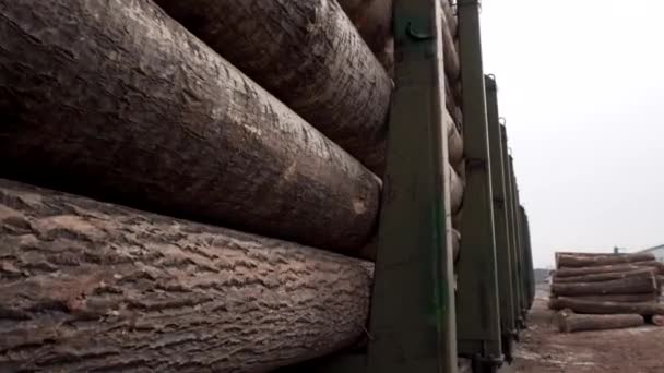 Σιδηροδρομικά Οχήματα Φορτώνονται Κορμούς Φρέσκο Κομμένο Δέντρο Ξύλο — Αρχείο Βίντεο