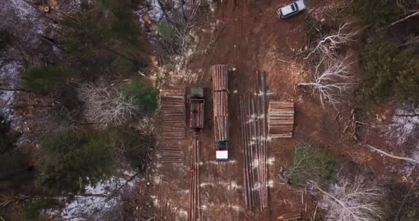 空中射击 一辆满载新鲜锯材的伐木卡车离开了泰加的伐木场 长旅行车与锯木装载入身体 — 图库视频影像