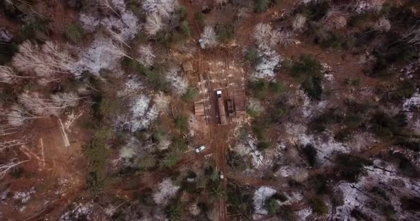 Disparo Aéreo Camión Maderero Cargado Bosques Recién Aserrados Está Conduciendo — Vídeo de stock