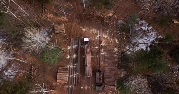 空中射击 一辆满载新鲜锯材的伐木卡车离开了泰加的伐木场 长旅行车与锯木装载入身体 — 图库视频影像