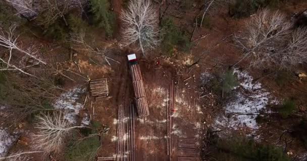 Tembakan Udara Sebuah Truk Logging Dimuat Dengan Baru Digergaji Hutan — Stok Video