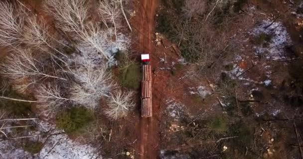 Colpo Aereo Camion Legname Carico Boschi Appena Segati Sta Guidando — Video Stock