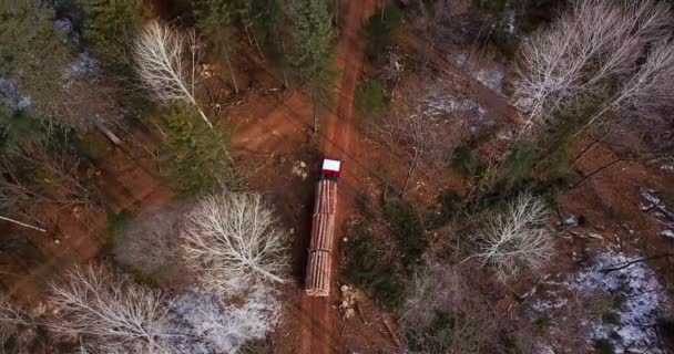 Zdjęcia Lotnicze Rejestrowanie Ciężarówki Załadowane Świeżo Spiłowanego Woods Jest Jazda — Wideo stockowe