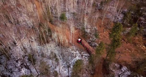 Letecký Snímek Návěsem Naložené Čerstvě Řezané Woods Jede Lesní Cestě — Stock video