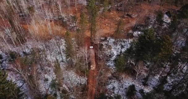 空中ショット 鋸で挽かれた新鮮な森の中に読み込まれたログ トラックを運転して 伐採木の中で大河のフォレスト ロード沿い 木の幹にロード長いワゴン — ストック動画