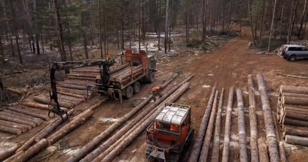 Vue Aérienne Camion Chargé Bois Fraîchement Scié Quitte Site Forestier — Video