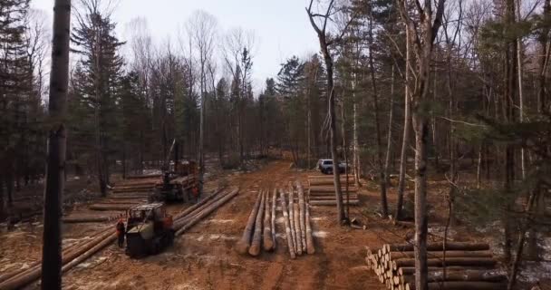 Luftaufnahme Ein Mit Frisch Gesägtem Holz Beladener Holztransporter Verlässt Den — Stockvideo