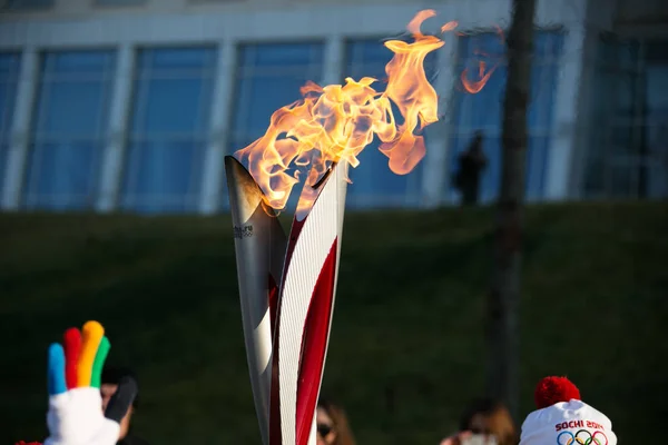 Listopada 2013 Russkiy Island Władywostok Skrzyżowane Latarki Olimpijskie Sportowcy Biegli — Zdjęcie stockowe