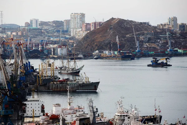 Formación Velero Pallada Bahía Cuerno Oro Vladivostok — Foto de Stock