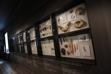 Vladimir Klavdievich Arsenyev Vladivostok adını Devlet Müzik Müzesi'nin sergi. Arsenyev Müzesi Salonları