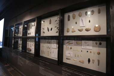 Vladimir Klavdievich Arsenyev Vladivostok adını Devlet Müzik Müzesi'nin sergi. Arsenyev Müzesi Salonları