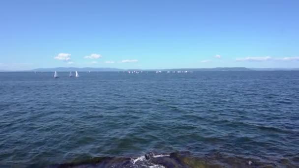 Sailing Regatta Takes Place Amur Bay Water Area City Vladivostok — Stock Video