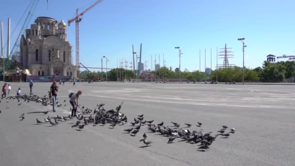 2018 ウラジオストク ロシア ウラジオストクの中央広場で鳩を追いかける子供たち ロシア極東におけるソ連勢力のための正方形戦闘機 — ストック動画