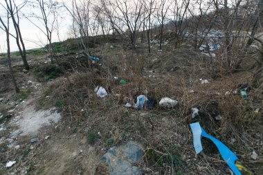 Deniz sahilinde çöp yığınları. Bölgenin kirlenmesi. Sahilde çöplük.