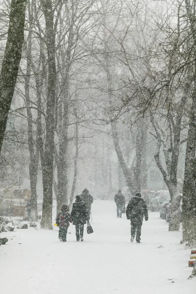 People Walk Paths Snowfall Winter Season — Stock Photo, Image