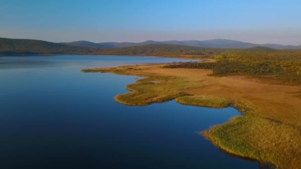 Volando Sobre Hermoso Lago Blagodatnoe Rodeado Bosque Verano Otoño Montañas — Vídeos de Stock