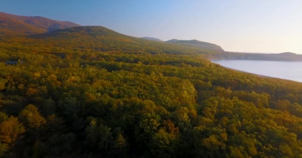 Létání Nad Krásné Blagodatnoye Jezero Obklopené Zelenými Lesy Hory Pozadí — Stock video