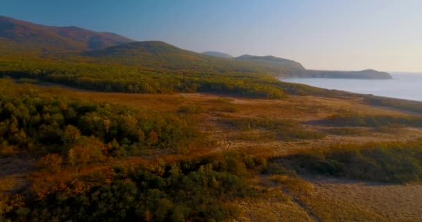緑の森と背景の山々 に囲まれた美しい湖 Blagodatnoye の上飛んでいます ロシアで 1935 年に設立された絶滅危惧種のアムールトラのシホテ アリン自然保護区 — ストック動画