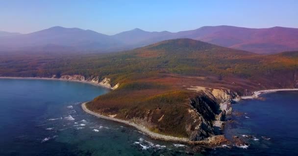 1935年に設立された絶滅危惧種のシベリアトラのためのロシアの生物圏保護区 海の崖 急な岩の海岸線 シコテ アリン自然保護区の航空写真 — ストック動画