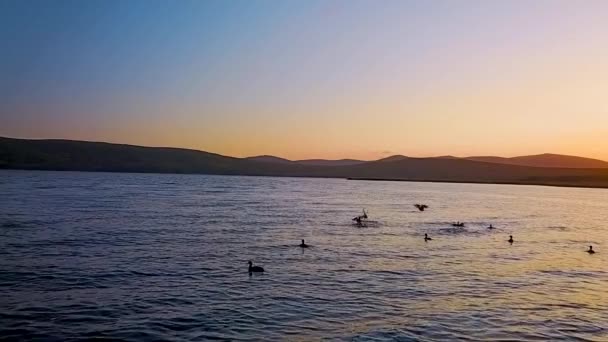 Volando Por Encima Del Hermoso Lago Blagodatnoye Rodeado Bosques Verdes — Vídeo de stock