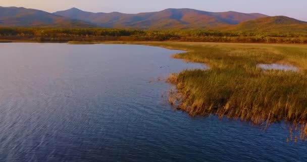 Flygande Över Vackra Sjön Blagodatnoye Omgiven Gröna Skogar Och Berg — Stockvideo