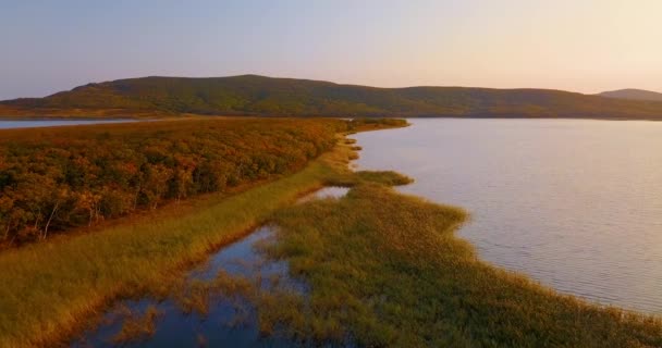 緑の森と背景の山々 に囲まれた美しい湖 Blagodatnoye の上飛んでいます ロシアで 1935 年に設立された絶滅危惧種のアムールトラのシホテ アリン自然保護区 — ストック動画