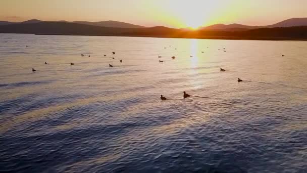 Fliegen Über Schönen See Blagodatnoye Mit Grünen Wäldern Und Bergen — Stockvideo