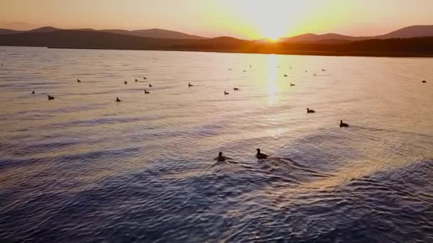 Güzel Gölü Blagodatnoye Üzerinde Uçan Arka Planda Yeşil Ormanlar Dağlar — Stok video