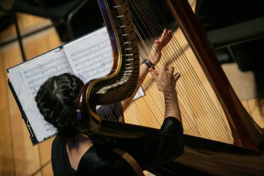 Arpacının elleri arp çalıyor