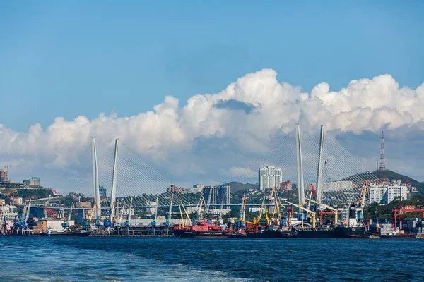 Agosto 2014 Vladivostok Russia Facciata Marina Vladivostok Porto Container Commercio — Foto Stock