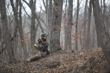 Kasım, 2014 - Rusya - Ormanda aktif askeri tatbikatlar. Sonbahar ormanında çatışma ordusu. Rusya'da eğitim airsoft takımları.