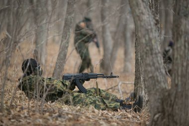 Kasım, 2014 - Rusya - Ormanda aktif askeri tatbikatlar. Sonbahar ormanında çatışma ordusu. Rusya'da eğitim airsoft takımları.