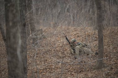 Kasım, 2014 - Rusya - Ormanda aktif askeri tatbikatlar. Sonbahar ormanında çatışma ordusu. Rusya'da eğitim airsoft takımları.