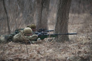 Kasım, 2014 - Rusya - Ormanda aktif askeri tatbikatlar. Sonbahar ormanında çatışma ordusu. Rusya'da eğitim airsoft takımları.