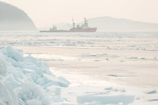 Zwei Kleine Schiffe Stecken Arktischen Eis Fest Schiffe Auf Raubzug — Stockfoto