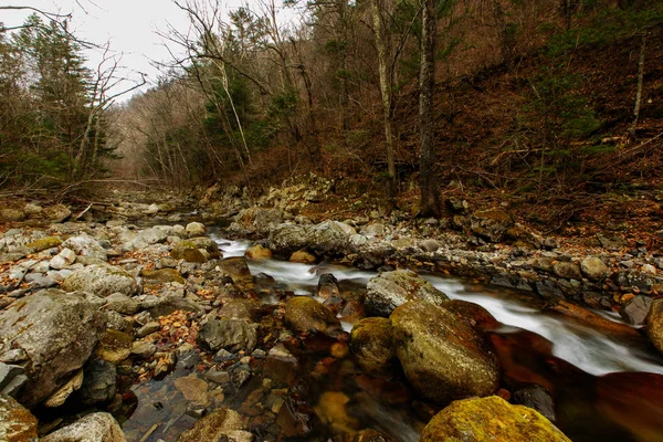 Beautiful Landscape Picturesque Stream Flows Autumn Forest Small Stones — Stock Photo, Image